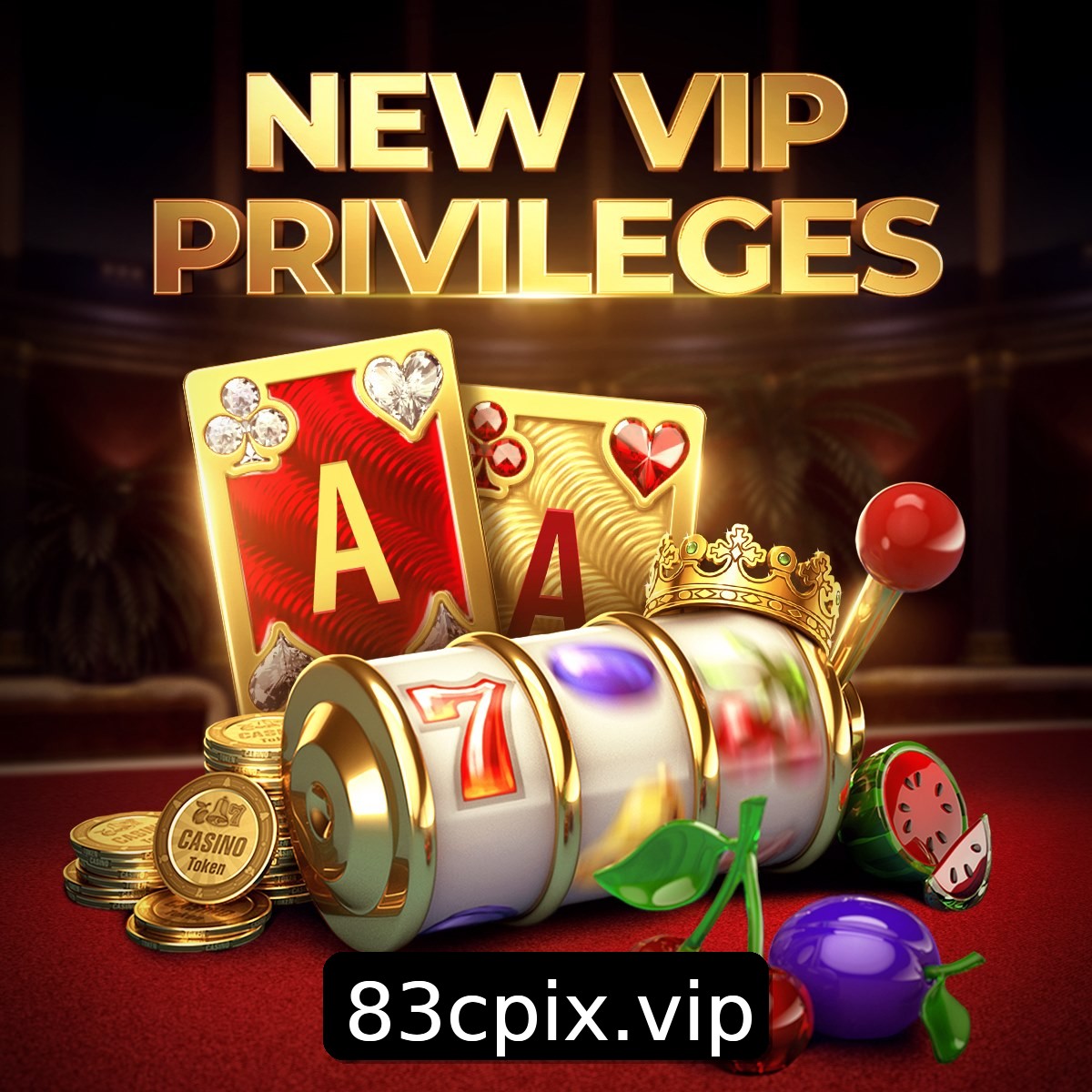 Programa VIP 83C